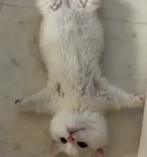 😊
