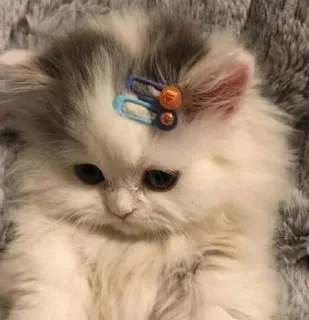 🥺