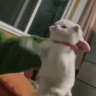 👊