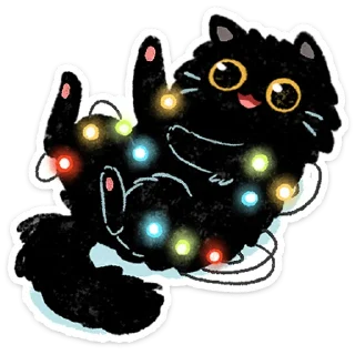🐈‍⬛