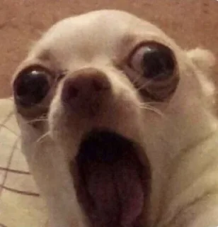 😨