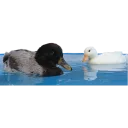 💧