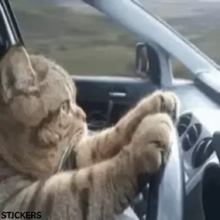 😑