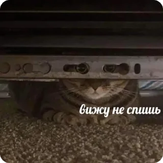 👀