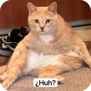 🫥
