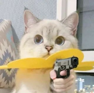 🔫