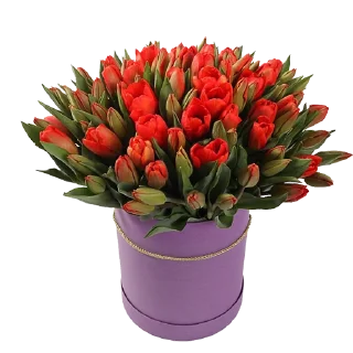 🌷