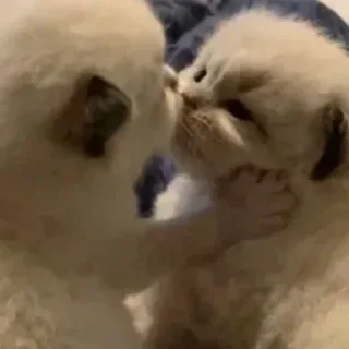 😘