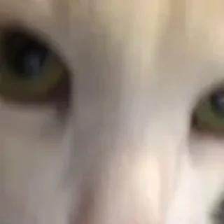 😕