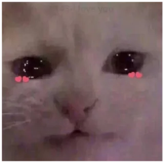 😢