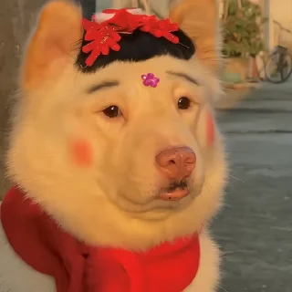 🐶