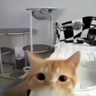 😡