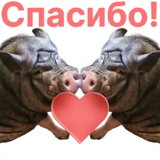 😊