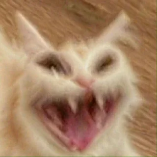 😡
