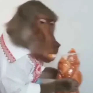 🇺🇦
