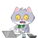💻
