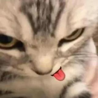 🥺