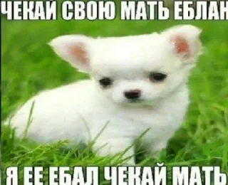 😡