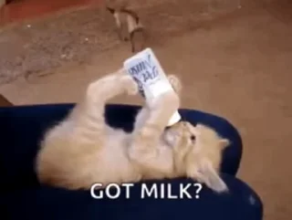 🥛