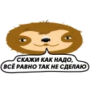 😎