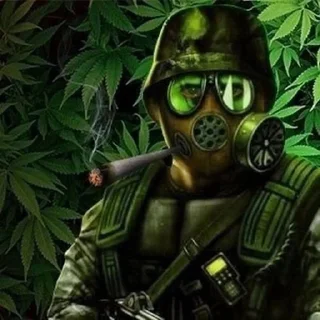 🌿