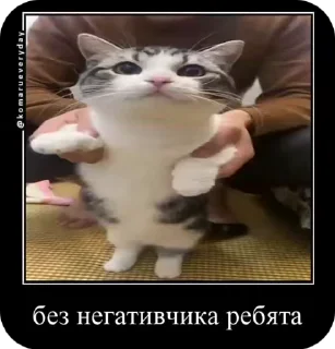 🌟