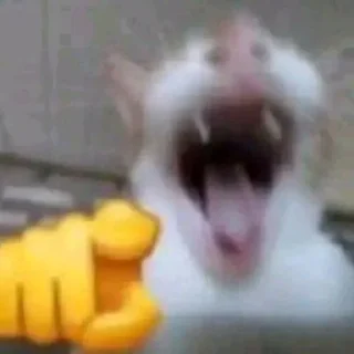 🤣