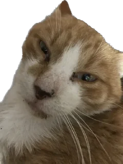 😶