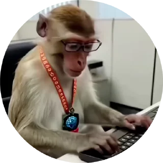 👨‍💻