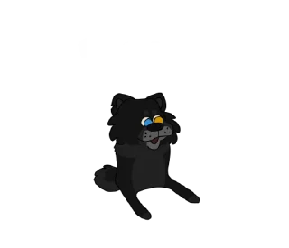 🎾