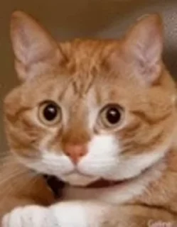😳
