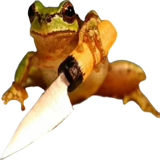 🔪