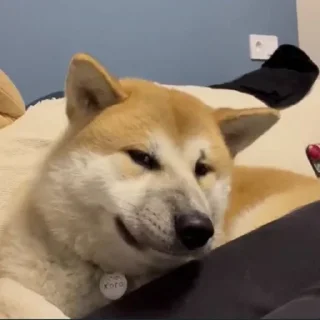 😏