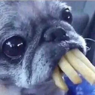 🍟