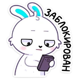 🐰