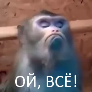 😏
