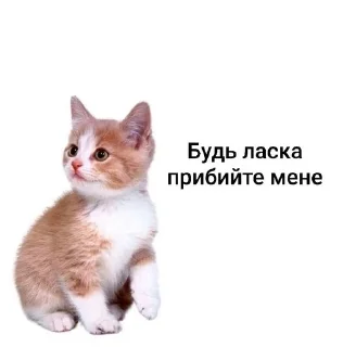 🥺