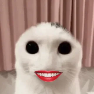 ☃️