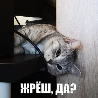 🙃