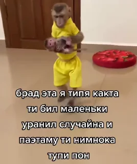 🤩