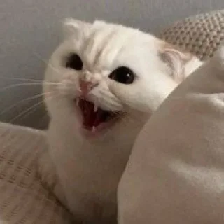 😠