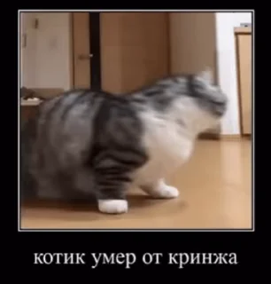 🤡