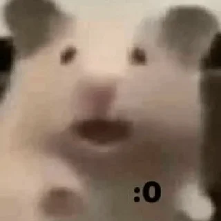 🤨