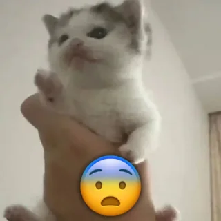 😨