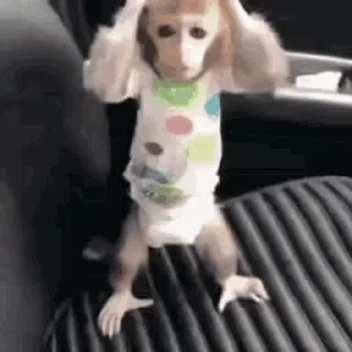 😲