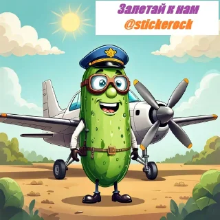 ✈