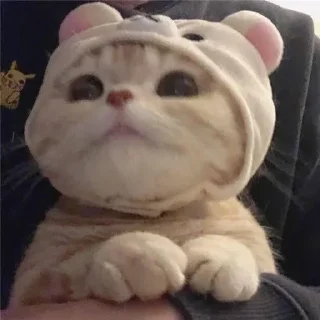 😊