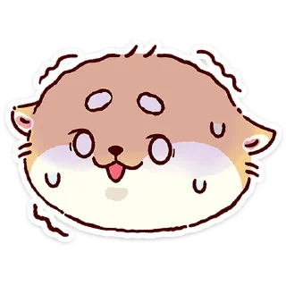 🌟