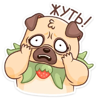 😱