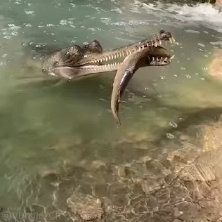 😋